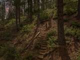 2120 Pack Trail - Photo 86