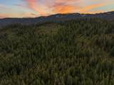 2120 Pack Trail - Photo 89