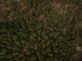 2120 Pack Trail - Photo 90