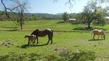 9568 Blue Mountain Ranch Road - Photo 31
