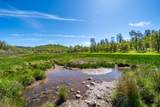 9568 Blue Mountain Ranch Road - Photo 49