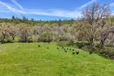 9568 Blue Mountain Ranch Road - Photo 86