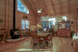 30909 Tinkerbell Lane - Photo 12