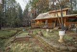 30909 Tinkerbell Lane - Photo 7