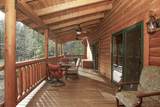 30909 Tinkerbell Lane - Photo 9