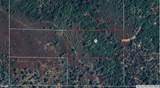 5 acres Platina School Rd-Shady Nook D - Photo 1