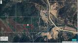5 acres Platina School Rd-Shady Nook D - Photo 3