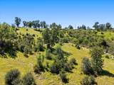 14055 Marsha Way - Photo 10