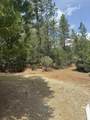  Ponderosa Way - Photo 3