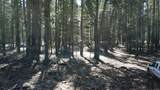  Lake Mccumber Road - Photo 10