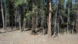  Lake Mccumber Road - Photo 14
