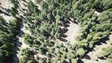  Lake Mccumber Road - Photo 21