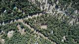  Lake Mccumber Road - Photo 27