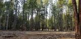  Lake Mccumber Road - Photo 4