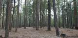  Lake Mccumber Road - Photo 5