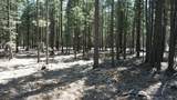  Lake Mccumber Road - Photo 9