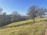 Lot 59 Pimlico Court - Photo 9