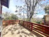8987 Soda Bay Road - Photo 37