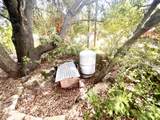 8987 Soda Bay Road - Photo 50