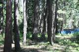 Lot 61 Starlite Pines Rd - Photo 10