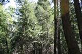 Lot 61 Starlite Pines Rd - Photo 11