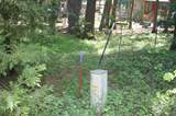 Lot 61 Starlite Pines Rd - Photo 13