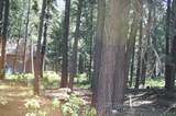 Lot 61 Starlite Pines Rd - Photo 2
