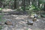 Lot 61 Starlite Pines Rd - Photo 4