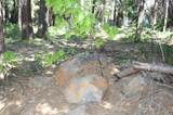 Lot 61 Starlite Pines Rd - Photo 7