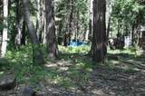 Lot 61 Starlite Pines Rd - Photo 9