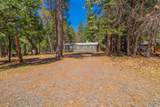 30696 Thumper Drive - Photo 2