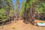 30696 Thumper Drive - Photo 25