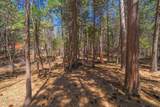 30696 Thumper Drive - Photo 29