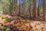 30696 Thumper Drive - Photo 31