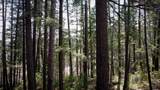 81 Swift Creek Road - Photo 38