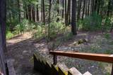 81 Swift Creek Road - Photo 52