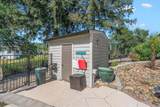 15907 Cindee Lane - Photo 50