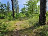 6.28 acres Highway 44 - Photo 18