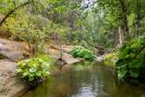  Ponderosa Way-198 Acres Avenue - Photo 1