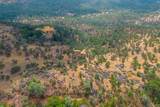  Ponderosa Way-198 Acres Avenue - Photo 15