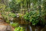  Ponderosa Way-198 Acres Avenue - Photo 3