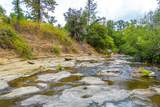  Ponderosa Way-198 Acres Avenue - Photo 5