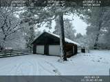 30366 Bridger Way - Photo 4