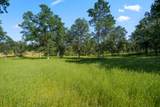 19483 Belleterre Drive - Photo 4