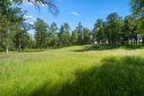 19483 Belleterre Drive - Photo 5