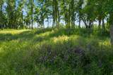 19483 Belleterre Drive - Photo 6
