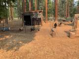 44992 Old Brown Ranch Road - Photo 24