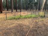 44992 Old Brown Ranch Road - Photo 31
