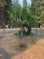 44992 Old Brown Ranch Road - Photo 35