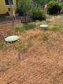 44992 Old Brown Ranch Road - Photo 47